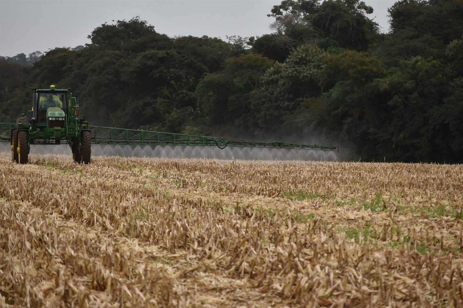 Aplicação agrícola em área de cultivo